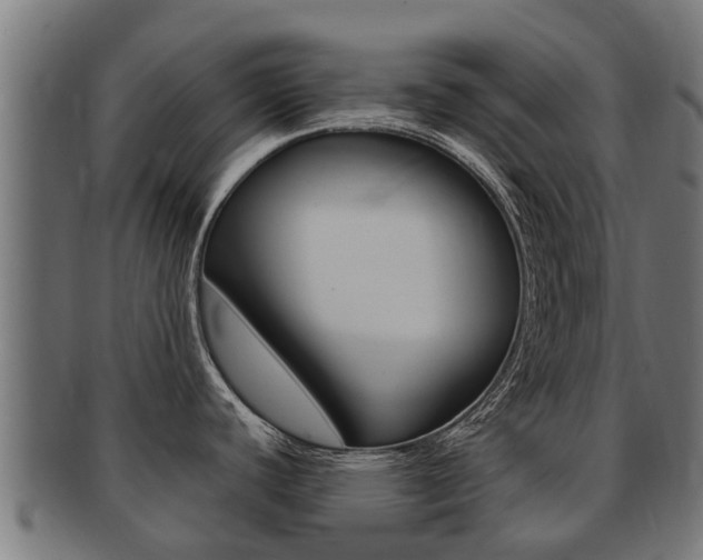 X0000091981440200709061143