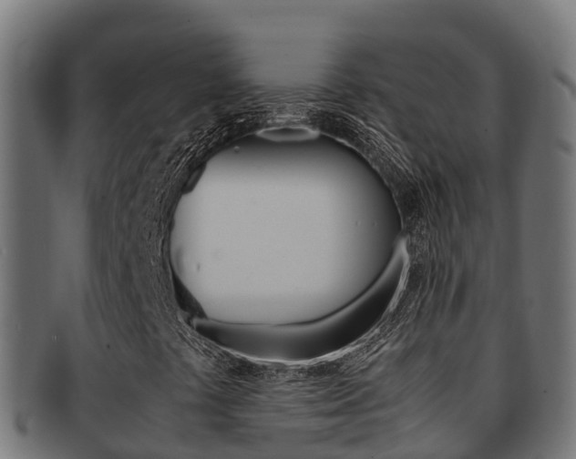 X0000091981441200709061143