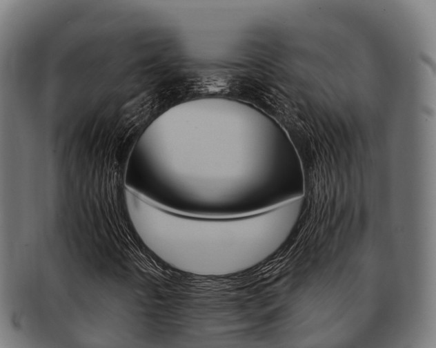 X0000091981442200709061142