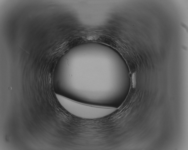 X0000091981443200709061142