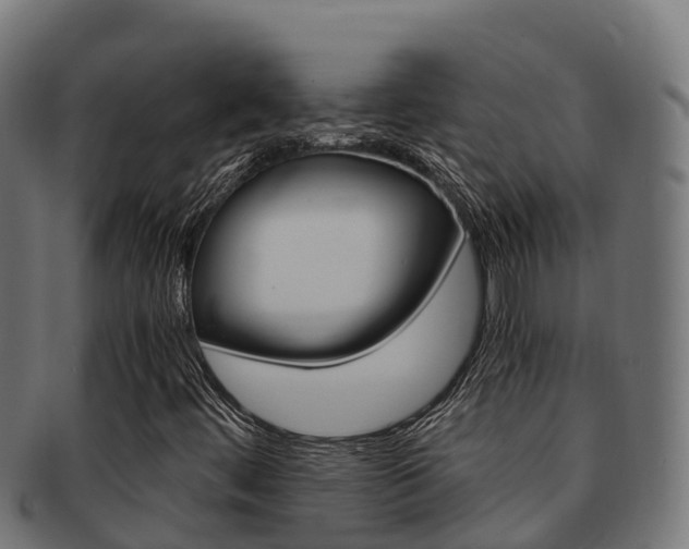X0000091981444200709061142