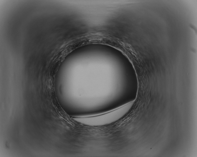 X0000091981445200709061142