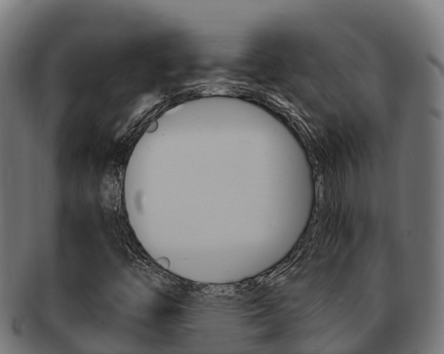 X0000091981446200709061142