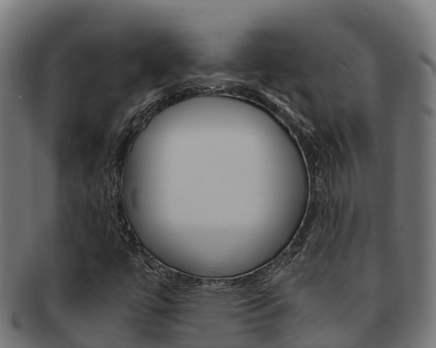 X0000091981447200709061142