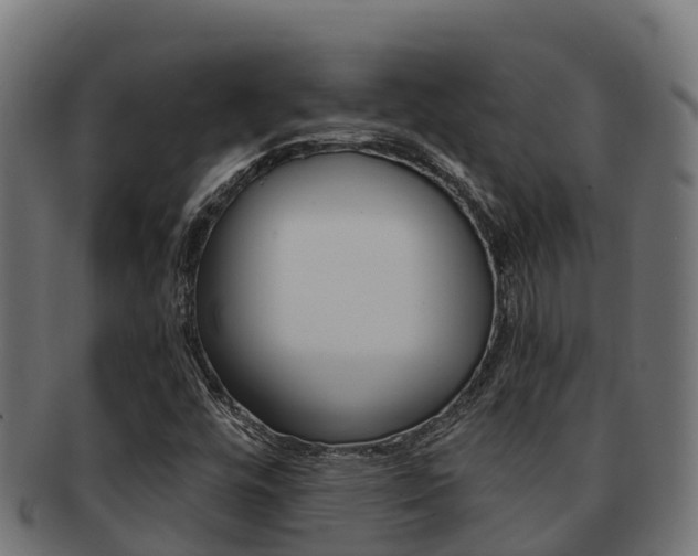 X0000091981448200709061142