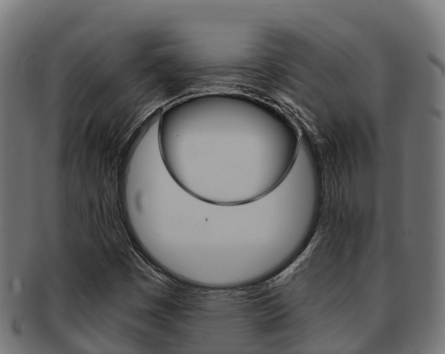 X0000091981449200709061142