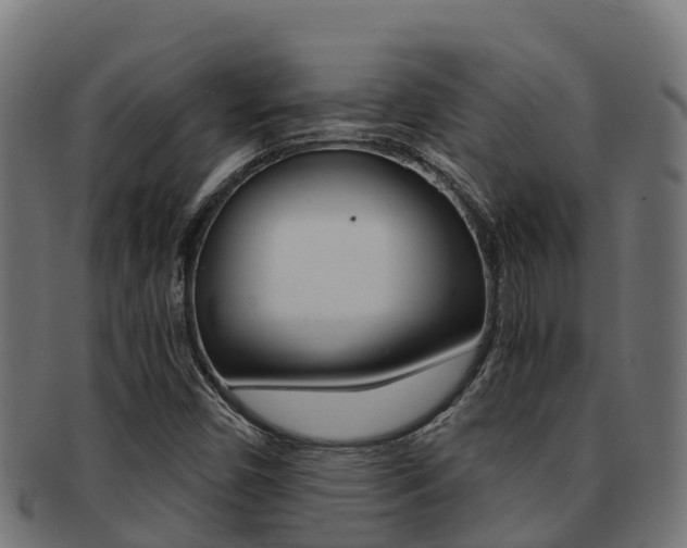 X0000091981450200709061142