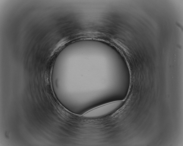 X0000091981451200709061142