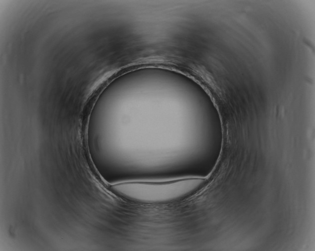 X0000091981452200709061142