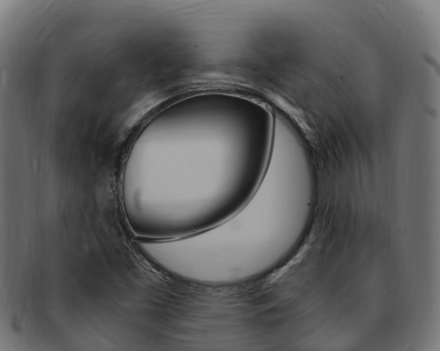 X0000091981453200709061142