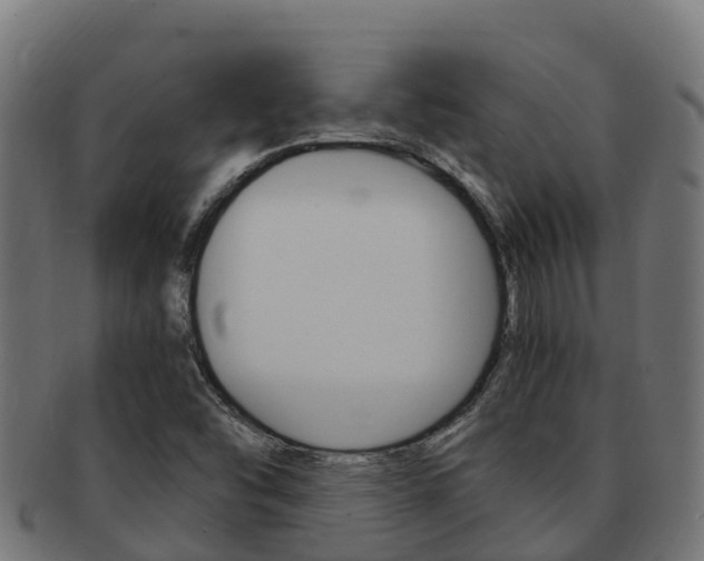 X0000091981454200709061142