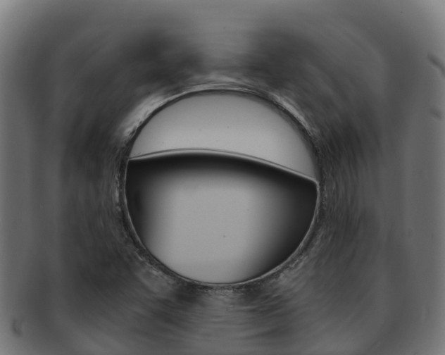 X0000091981455200709061142