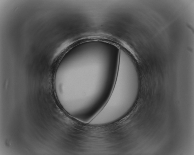 X0000091981456200709061142