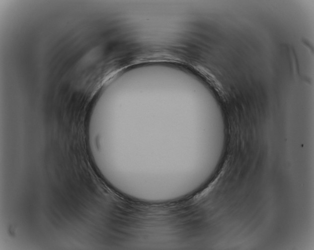 X0000091981457200709061142