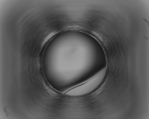 X0000091981458200709061142