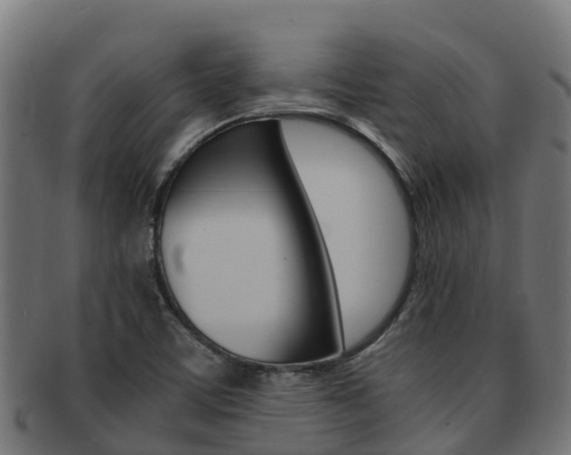 X0000091981459200709061142