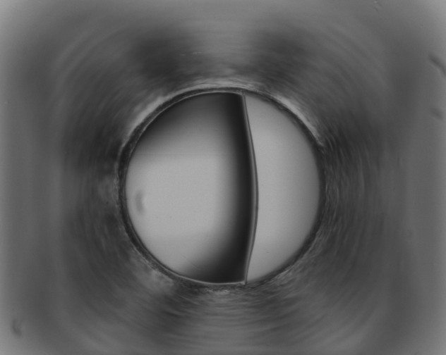 X0000091981460200709061142