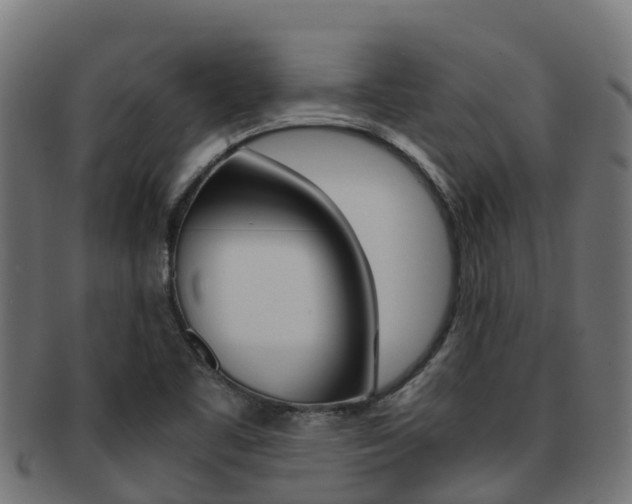 X0000091981461200709061142