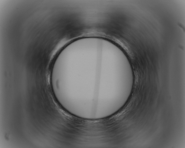 X0000091981462200709061142