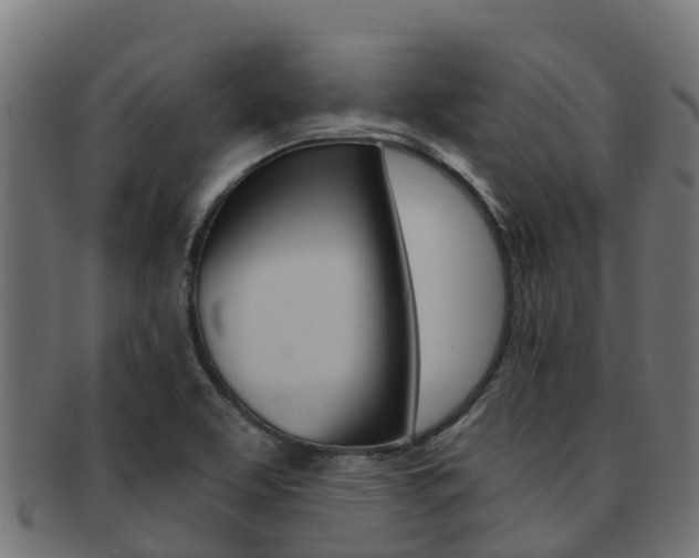 X0000091981463200709061142