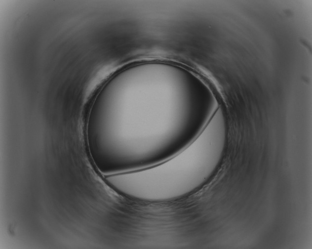 X0000091981464200709061142