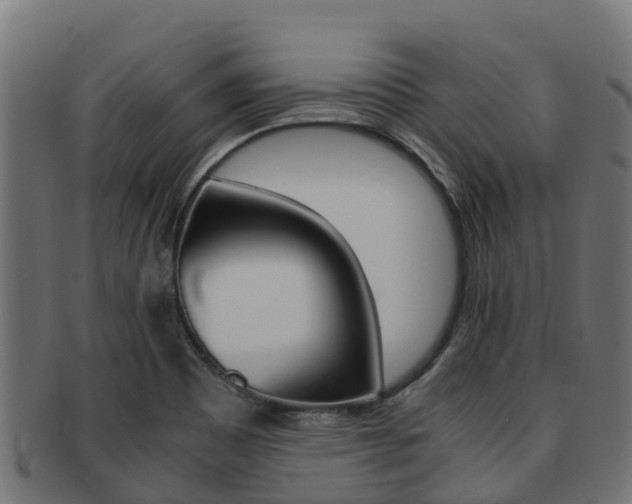 X0000091981465200709061142