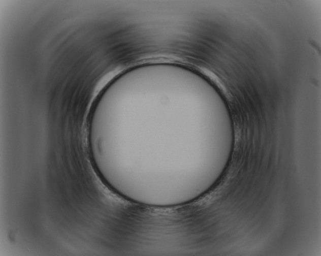 X0000091981466200709061142