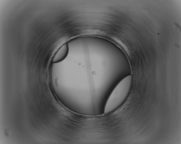 X0000091981467200709061142