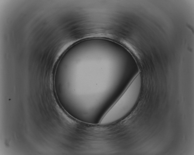 X0000091981468200709061142