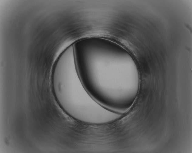 X0000091981469200709061142