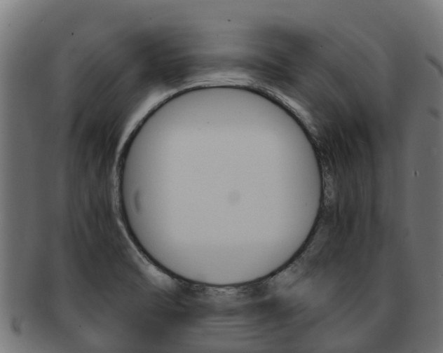 X0000091981470200709061142