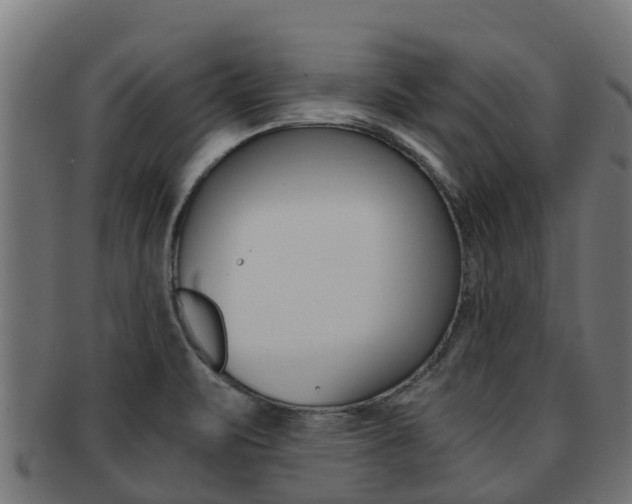 X0000091981471200709061142
