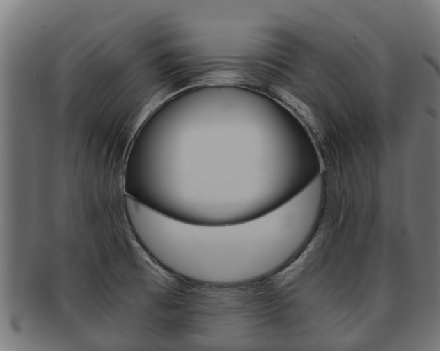 X0000091981473200709061142