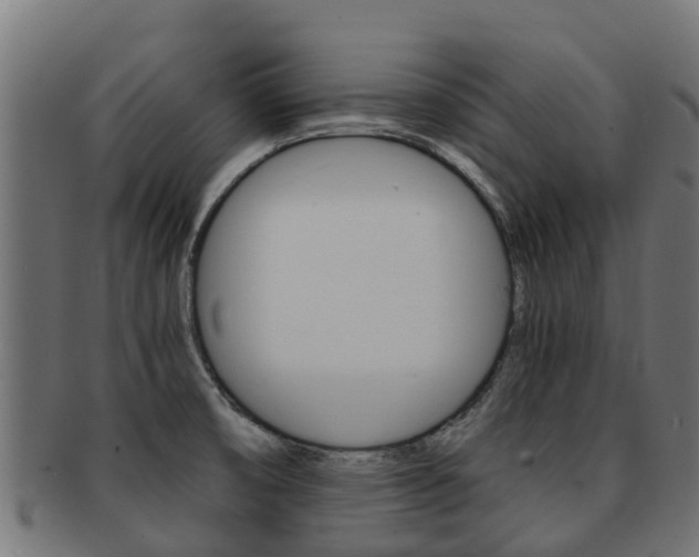 X0000091981474200709061142