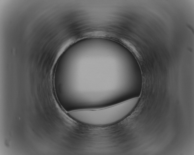 X0000091981475200709061142