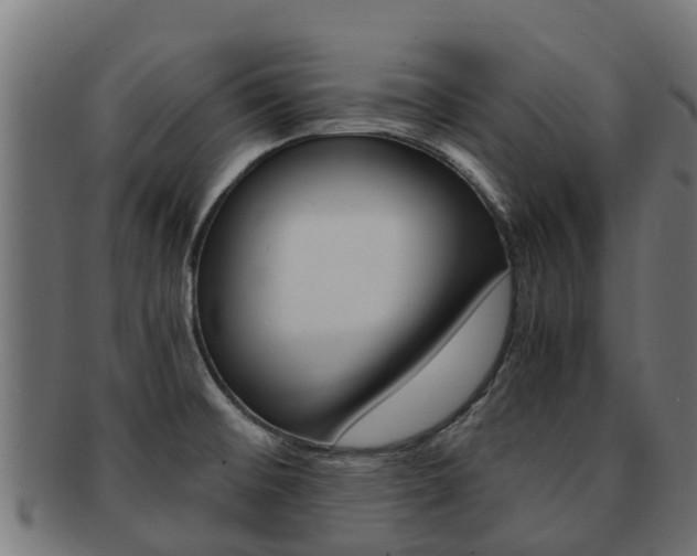 X0000091981476200709061142