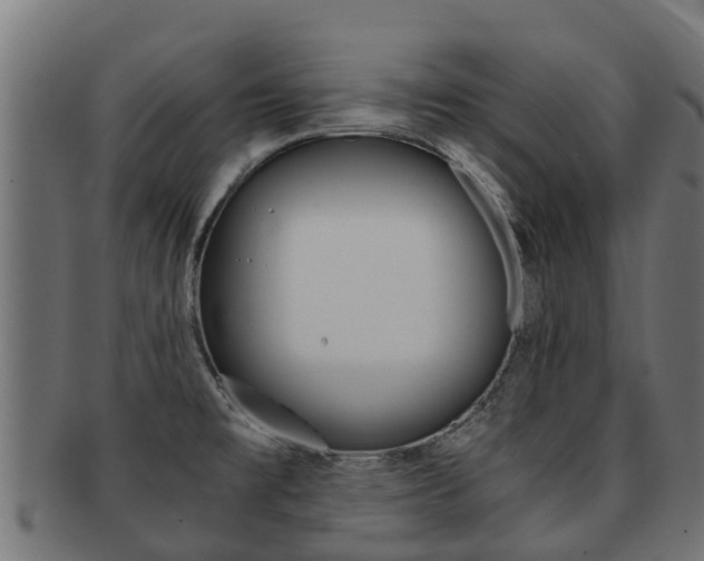 X0000091981477200709061142