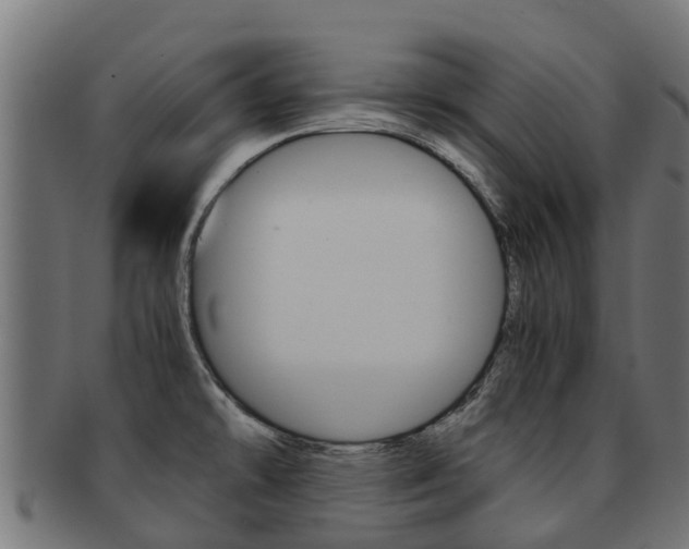 X0000091981478200709061142