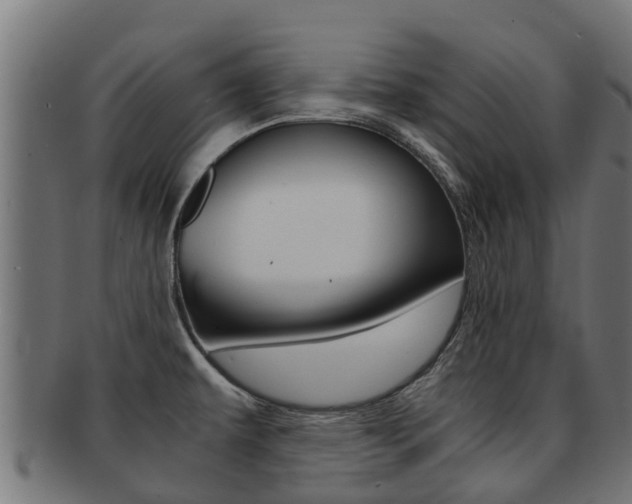 X0000091981479200709061142