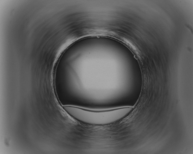 X0000091981480200709061142