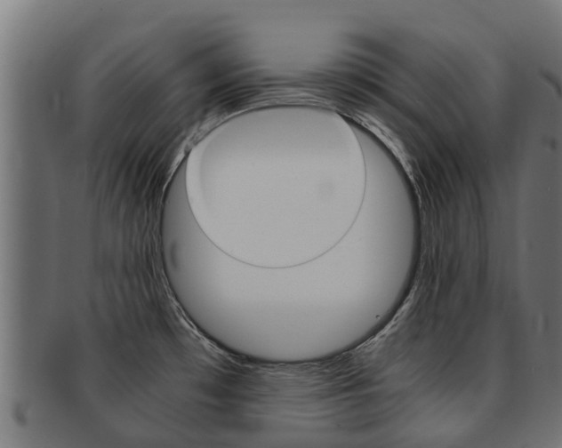 X0000091981481200709061142