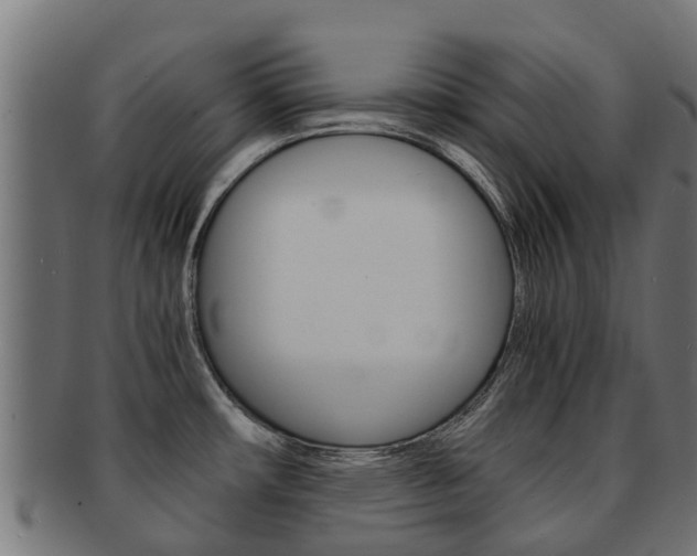 X0000091981482200709061142