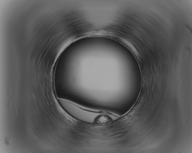 X0000091981483200709061142