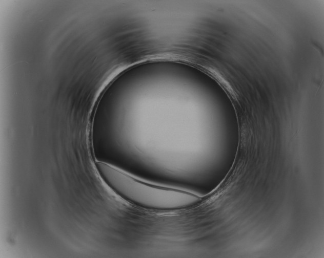 X0000091981484200709061142