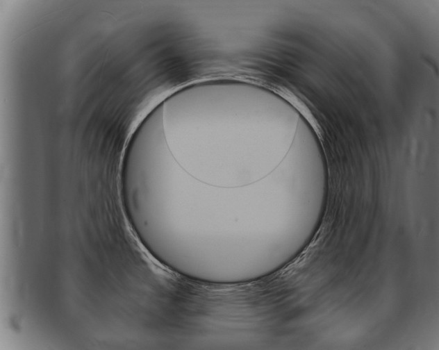 X0000091981485200709061142