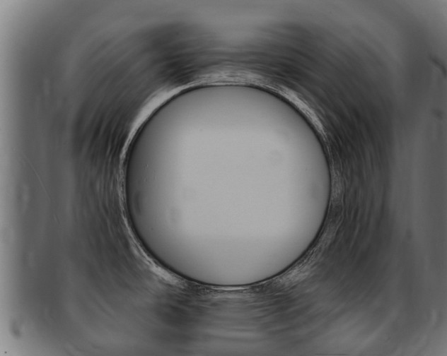 X0000091981486200709061142