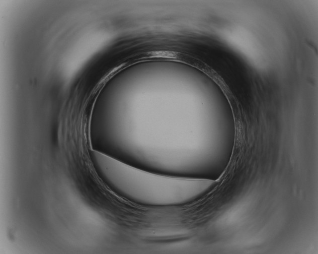 X0000091981487200709061142