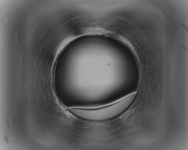 X0000091981488200709061142