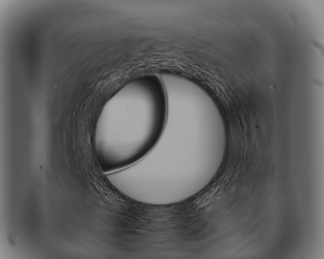 X0000091981489200709061141