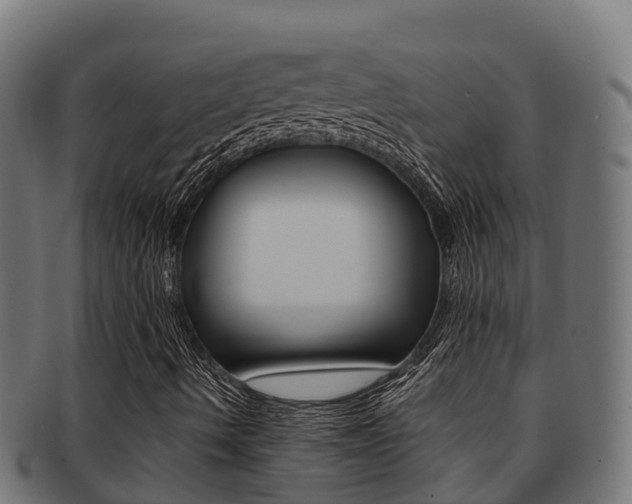 X0000091981490200709061141